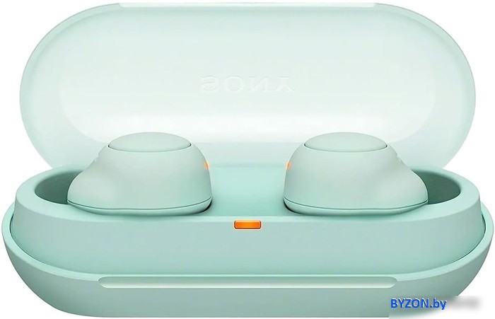 Наушники Sony WF-C500 (мятный) Наушники Sony WF-C500 (мятный)