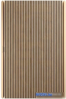 Беспроводная аудиосистема Bang & Olufsen Beosound Level (золотистый/светлый дуб) - фото2