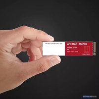SSD WD Red SN700 250GB WDS250G1R0C - фото2