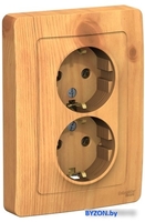 Розетка Schneider Electric Blanca BLNRS001025 - фото