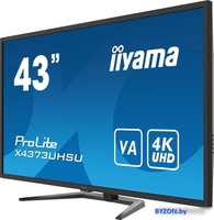 Монитор Iiyama ProLite X4373UHSU-B1 - фото2