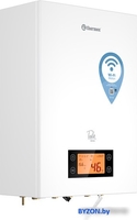 Отопительный котел Thermex Tesla 12-24 Wi-Fi - фото2