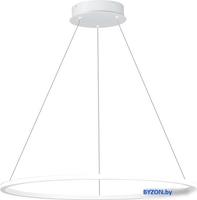 Подвесная люстра ST Luce Out ST604.543.34 - фото