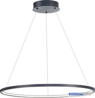 Подвесная люстра ST Luce ST603.443.34 - фото