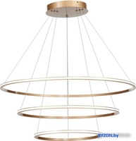 Подвесная люстра ST Luce ST604.243.114 - фото