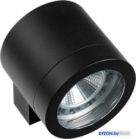 Уличный настенный светильник Lightstar Paro 350617 - фото