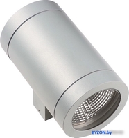 Уличный настенный светильник Lightstar Paro 351619 - фото