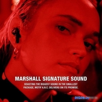 Наушники Marshall Motif - фото2
