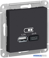 Розетка USB Schneider Electric Atlas Design ATN001039 - фото