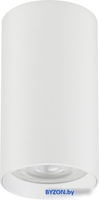 Точечный светильник TruEnergy 35W 21310 - фото
