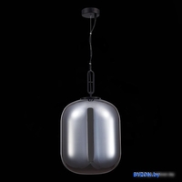 Подвесная люстра ST Luce Cosenza SL1234.203.08 - фото2