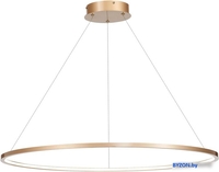 Подвесная люстра ST Luce St604 Out ST604.443.22 - фото