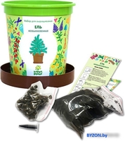 Набор для опытов Happy plant Ель необыкновенная hpn-10 - фото2