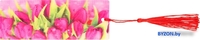 Закладка для книг ArtSpace Tulips 3D с линейкой 3D_31155 - фото