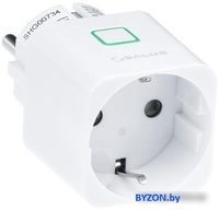 Розетка Salus Controls SPE868 - фото