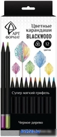 Набор цветных карандашей АртФормат AF03-051-12 - фото