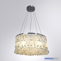 Подвесная люстра Arte Lamp Pipirima A4041SP-5CC - фото2