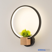 Бра Home Light Астерия C056-1-B - фото