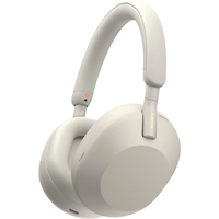 Наушники Sony WH-1000XM5 (серый) - фото