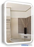 Silver Mirrors Шкаф с зеркалом Фиджи 50x75 LED-00002361 - фото