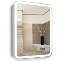 Silver Mirrors Шкаф с зеркалом Фиджи 50x75 LED-00002362 - фото