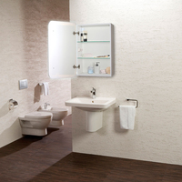 Silver Mirrors Шкаф с зеркалом Фиджи flip 60x80 LED-00002472 - фото2