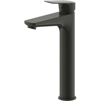 Смеситель Bravat Rhein F1429564BW-A-ENG - фото