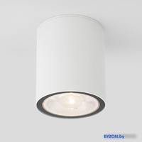 Уличный накладной светильник Elektrostandard Light 2103 35131/H (белый) - фото