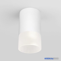 Уличный накладной светильник Elektrostandard Light 2106 35139/H (белый) - фото