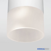 Уличный накладной светильник Elektrostandard Light 2106 35139/H (белый) - фото2