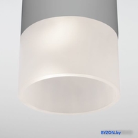 Уличный накладной светильник Elektrostandard Light 2106 35139/H (серый) - фото2