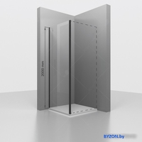 Душевая стенка RGW Z-050-3B 352253100-14 100 (черный/прозрачное стекло) - фото