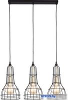 Подвесная люстра TK Lighting TKP2209 - фото