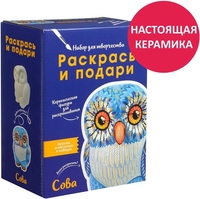 Набор для рисования Раскрась и подари Сова IG-1028 - фото