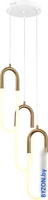 Подвесная люстра ST Luce Mofisto SL1579.303.03 - фото