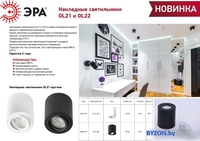 Спот ЭРА OL21 WH Б0054392 - фото2
