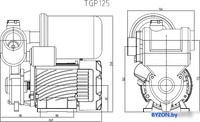 Насосная станция Pumpman TGP125 - фото2