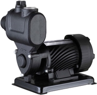 Насосная станция Pumpman TGP125N - фото
