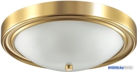 Припотолочная люстра Lumion Nina 5259/3C - фото