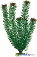 Искусственное растение Barbus Амбулия Plant 002/20 (зеленый) - фото