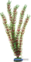 Искусственное растение Barbus Перестолистник Plant 001/50 (красный) - фото