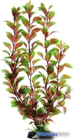 Искусственное растение Barbus Людвигия Plant 006/30 (красный) - фото
