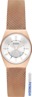 Наручные часы Skagen Grenen Lille SKW3035 - фото