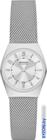 Наручные часы Skagen Grenen Lille SKW3038 - фото