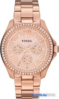 Наручные часы Fossil AM4483 - фото