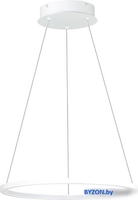 Подвесная люстра ST Luce ST603.543.22 - фото