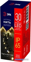 Гирлянда ЭРА ENIN-10M - фото