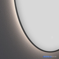 Wellsee Зеркало с фоновой LED-подсветкой 7 Rays' Spectrum 172201520, 50 х 90 см (с сенсором и регулировкой яркости освещения) - фото2
