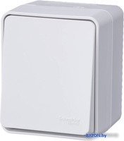 Выключатель проходной Schneider Electric AtlasDesign ATN540161 - фото