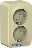 Розетка Schneider Electric Blanca BLNRA011217 - фото